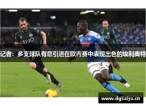 记者：多支球队有意引进在欧青赛中表现出色的埃利奥特