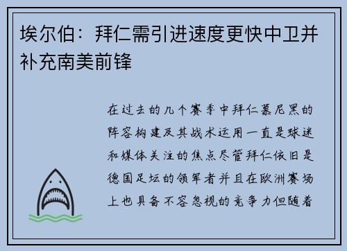 埃尔伯：拜仁需引进速度更快中卫并补充南美前锋